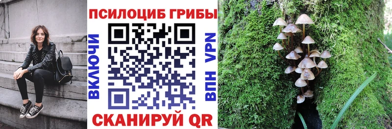 Псилоцибиновые грибы Magic Shrooms Купить закладки Заполярный